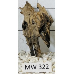 Mangrovewood 322
