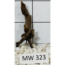 Mangrovewood 323