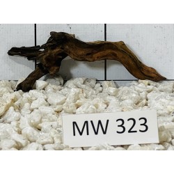 Mangrovewood 323