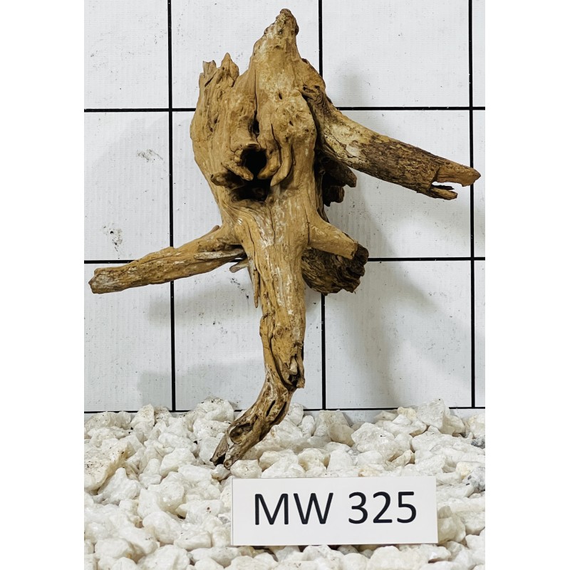 Mangrovewood 325