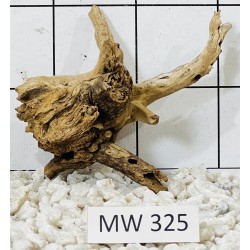 Mangrovewood 325