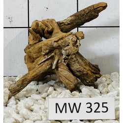 Mangrovewood 325