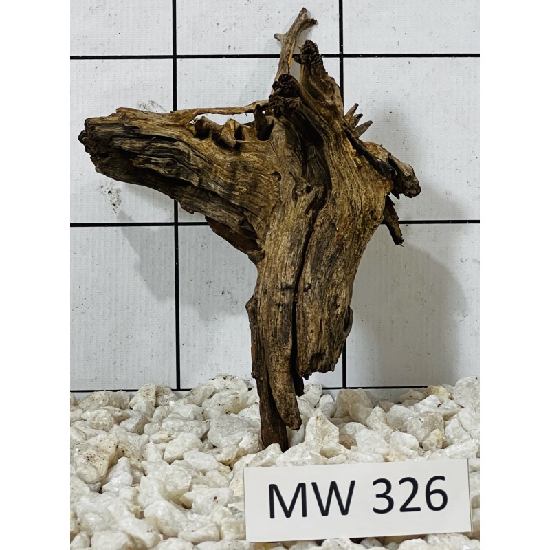 Mangrovewood 326