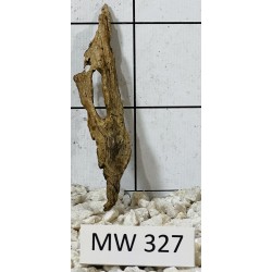 Mangrovewood 327