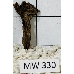 Mangrovewood 330