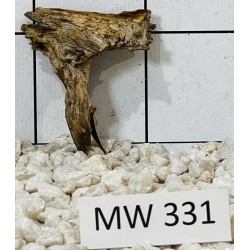 Mangrovewood 331