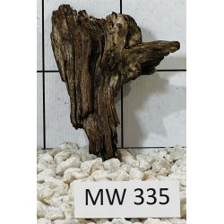 Mangrovewood 335