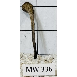 Mangrovewood 336