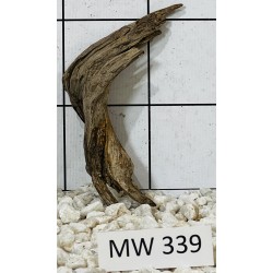 Mangrovewood 339
