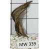 Mangrovewood 339