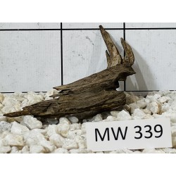 Mangrovewood 339