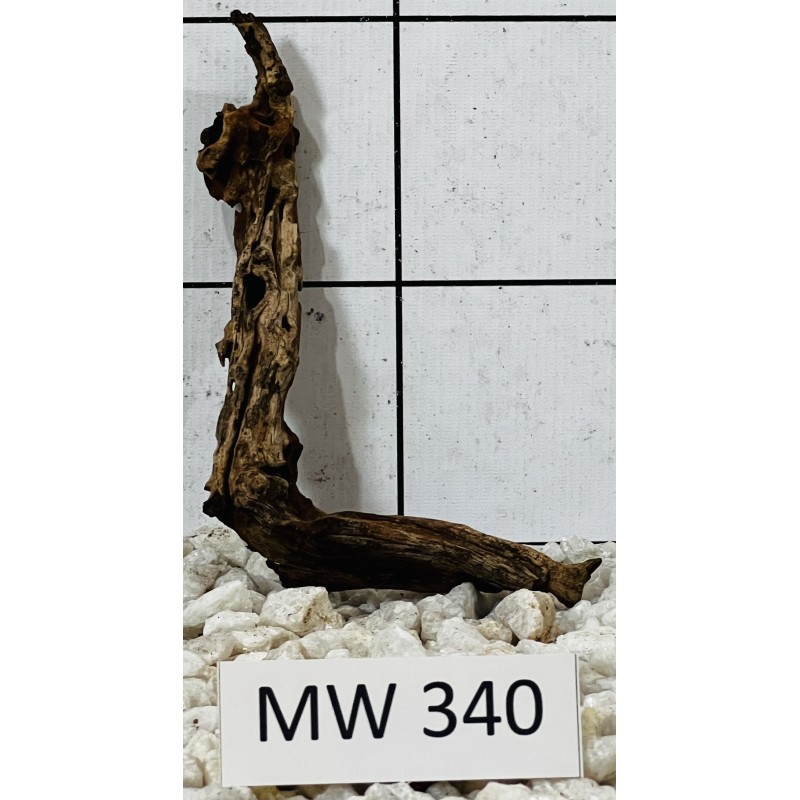 Mangrovewood 340