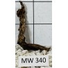 Mangrovewood 340