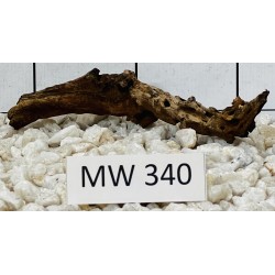 Mangrovewood 340