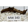 Mangrovewood 340