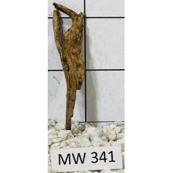 Mangrovewood 341