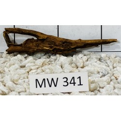 Mangrovewood 341