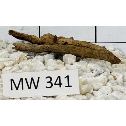 Mangrovewood 341