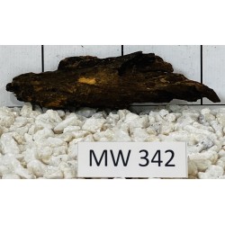 Mangrovewood 342