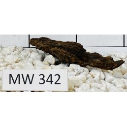 Mangrovewood 342