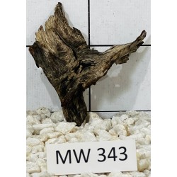 Mangrovewood 343