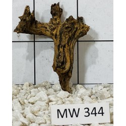 Mangrovewood 344