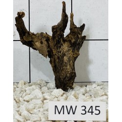 Mangrovewood 345