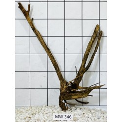 Mangrovewood 346