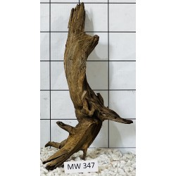 Mangrovewood 347