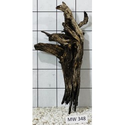 Mangrovewood 348