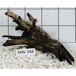 Mangrovewood 348