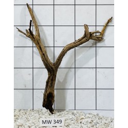 Mangrovewood 349