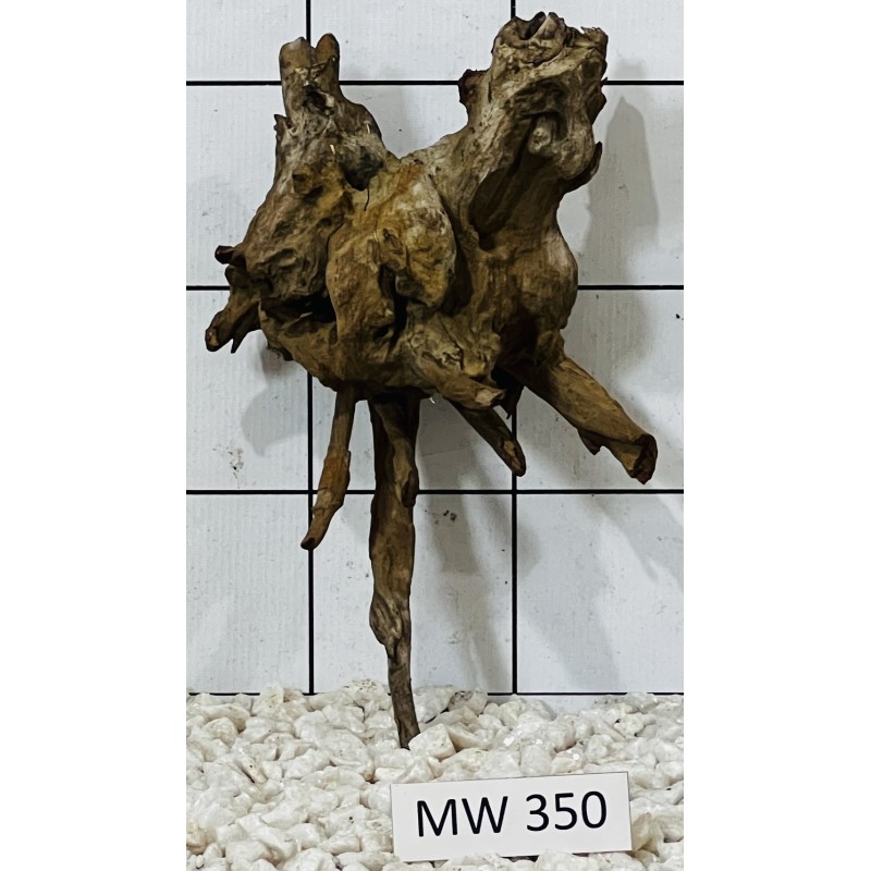 Mangrovewood 350