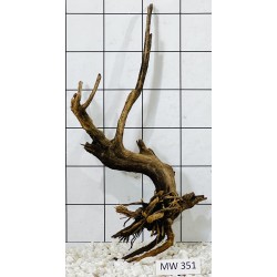 Mangrovewood 351