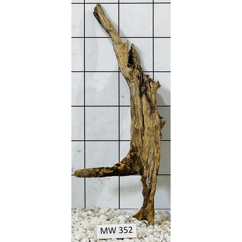 Mangrovewood 352
