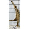 Mangrovewood 352