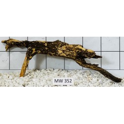 Mangrovewood 352