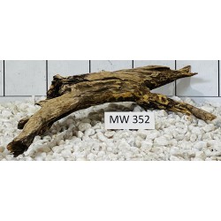 Mangrovewood 352