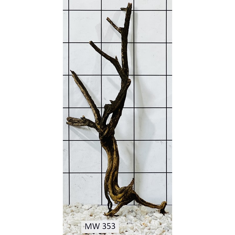 Mangrovewood 353