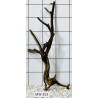 Mangrovewood 353