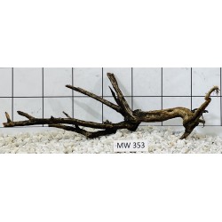 Mangrovewood 353