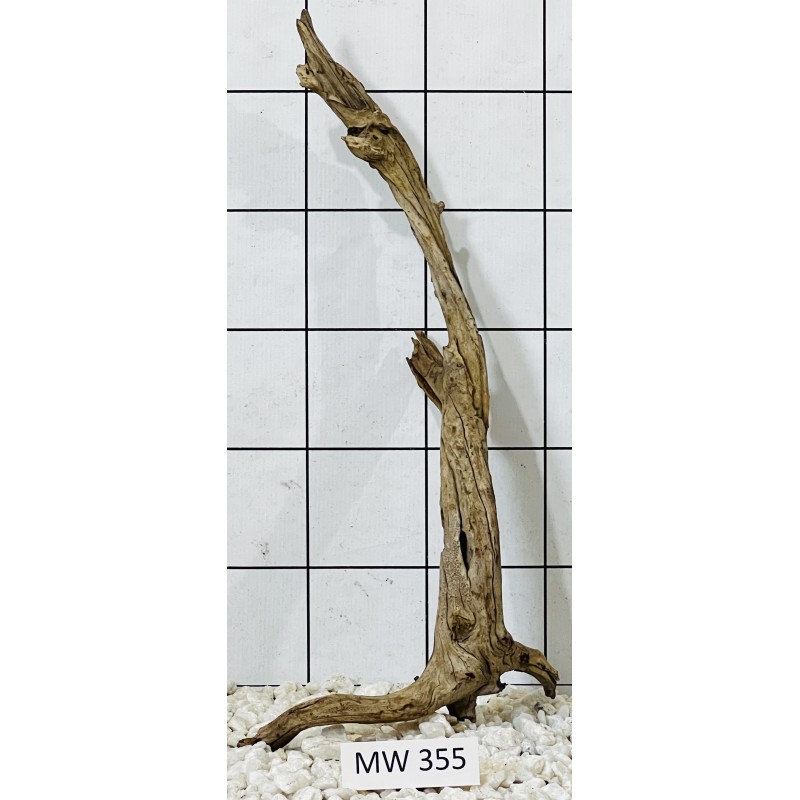 Mangrovewood 355