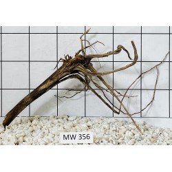 Mangrovewood 356