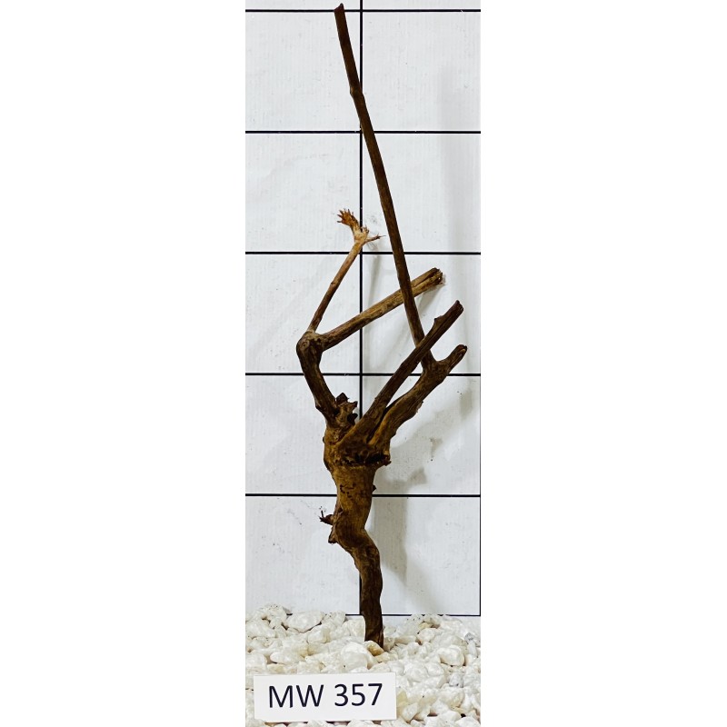 Mangrovewood 357