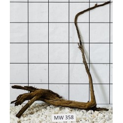 Mangrovewood 358