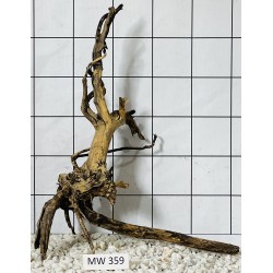 Mangrovewood 359