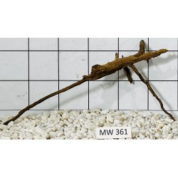Mangrovewood 361