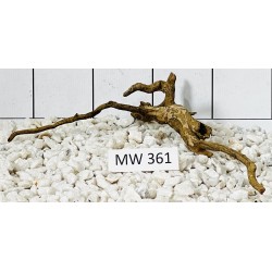 Mangrovewood 361