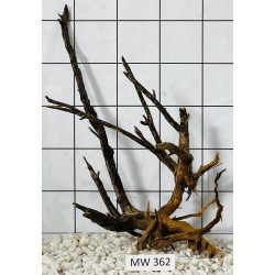 Mangrovewood 362