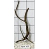 Mangrovewood 363